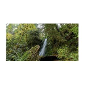 Serene Waterfall in Lush Rainforest by Brandon Wichmann Serene Waterfall in Lush Rainforest by Brandon Wichmann