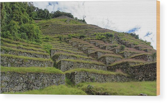 Ancient Terraces Amidst Greenery Wood Print