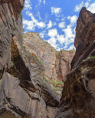 Wall Art featuring the photograph Majestic Canyon Sky View In The Narrows by Brandon Wichmann