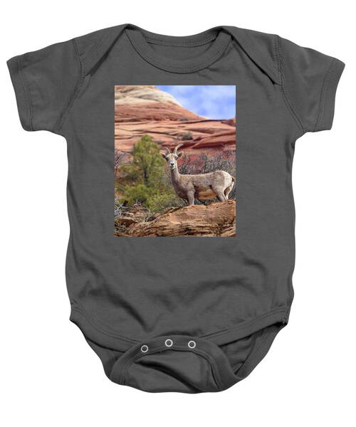 Big Horn Sheep In Zion National Park Baby One-Piece
