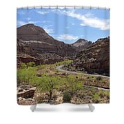 Winding Road Through Desert Canyon Shower Curtain