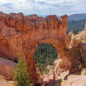 Majestic Natural Rock Arch in Bryce Canyon National Park by Brandon Wichmann
