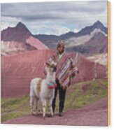 Peruvian Scene With Red Valley And Llama Wood Print