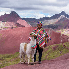 Peruvian Scene with Red Valley and Llama