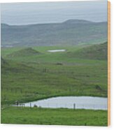 Tranquil Green Hills And Distant Sea Wood Print