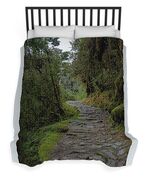 Moss-covered Path Through Lush Forest On The Inca Trail Duvet Cover