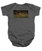 Fox Resting In Sunlit Clearing Baby One-Piece