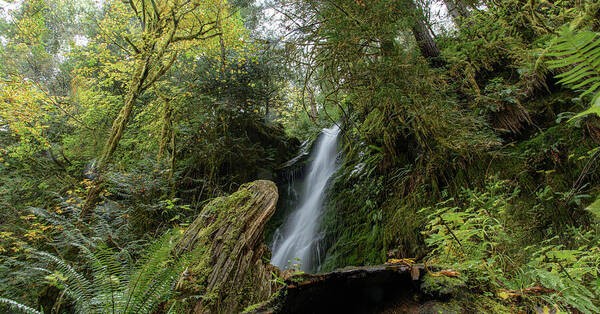 Serene Waterfall in Lush Forest Poster