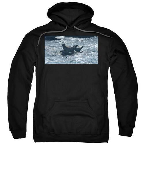 Seals Resting On Rocky Shoreline Sweatshirt