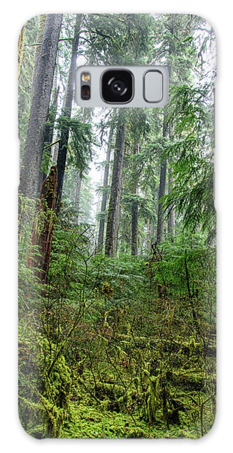 Misty Forest Silhouettes In Olympic National Park Galaxy Case