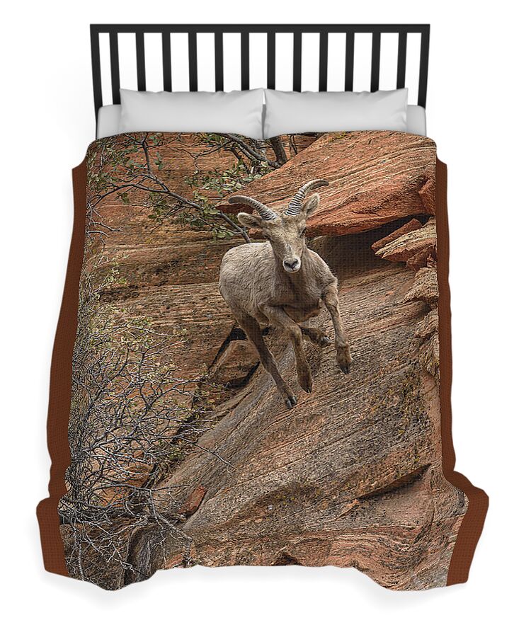 Big Horn Sheep Agile Descent In Zion National Park Duvet Cover