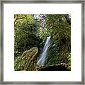 Serene Waterfall in Lush Forest Framed Print