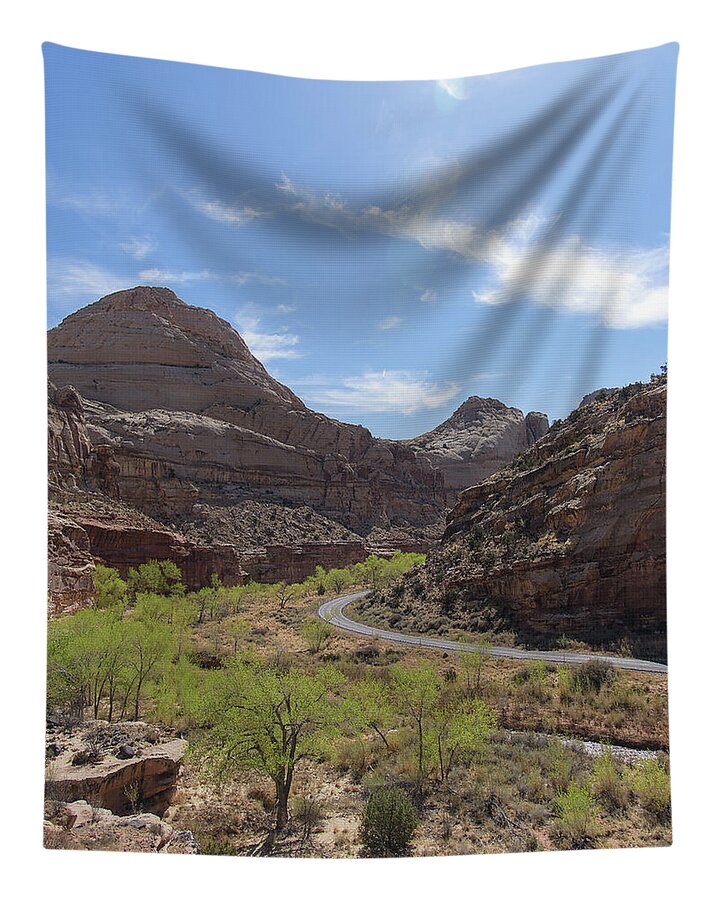 Winding Road Through Desert Canyon Tapestry
