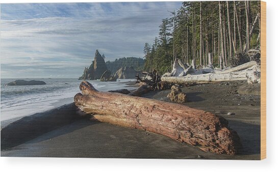Driftwood on a Pebbled Beach Wood Print