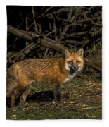 Fox In Sunlit Forest Clearing Fleece Blanket