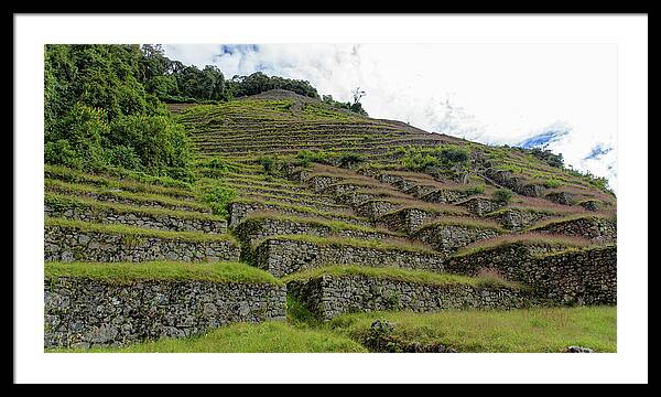 Ancient Terraces Amidst Greenery Framed Print