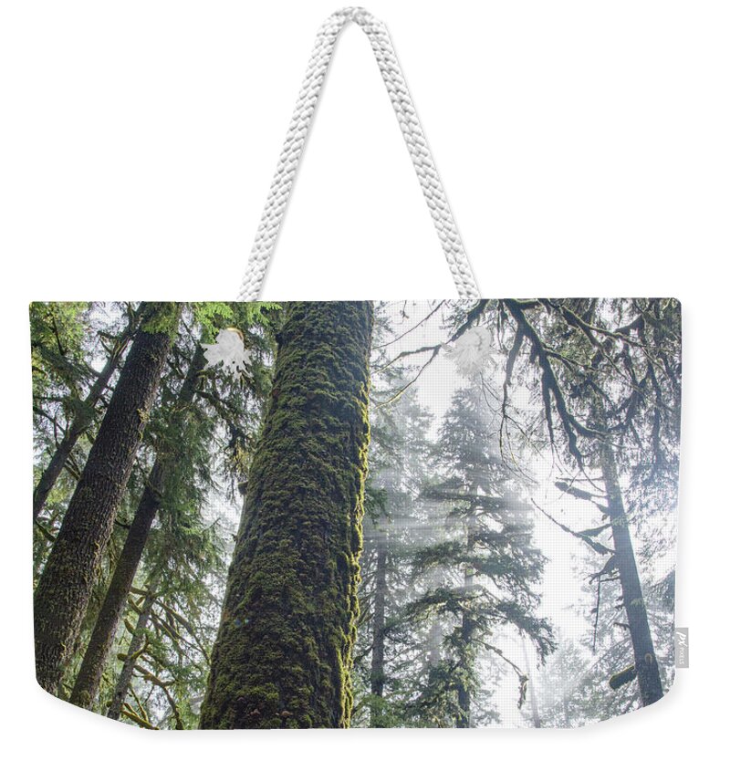 Majestic Forest Canopy In Olympic National Park Weekender Tote Bag