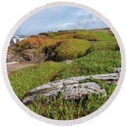 Coastal Landscape with Driftwood Round Beach Towel