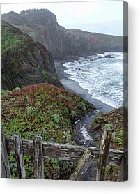 Shop for Vibrant Acrylic Prints