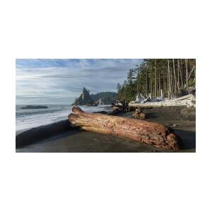 Driftwood on a Pebbled Beach by Brandon Wichmann Driftwood on a Pebbled Beach by Brandon Wichmann