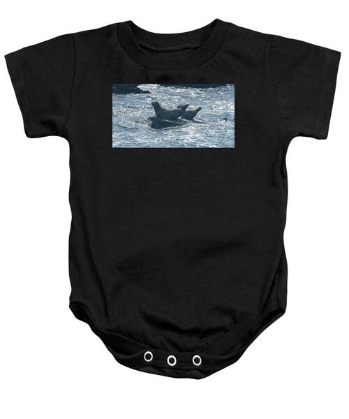 Seals Resting On Rocky Shoreline Baby One-Piece