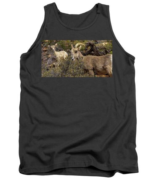Bighorn Sheep in Zion National Park Tank Top by Brandon Wichmann