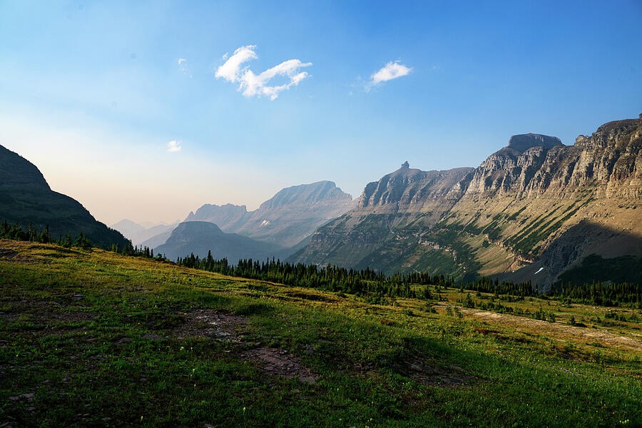 Evening Light Across the Mountain Meadow