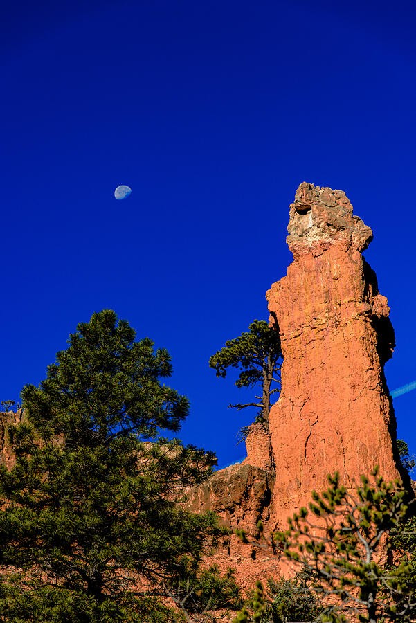 A Stone Tower Beneath the Daylight Moon