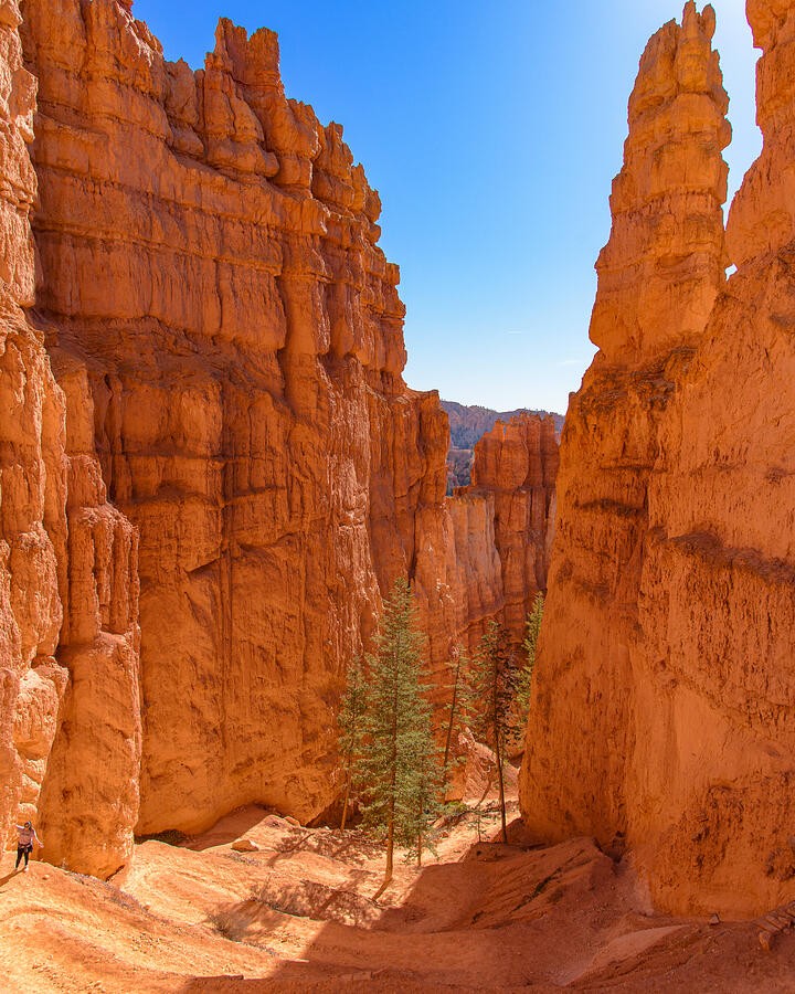 Stone Towers Along the Canyon Trail