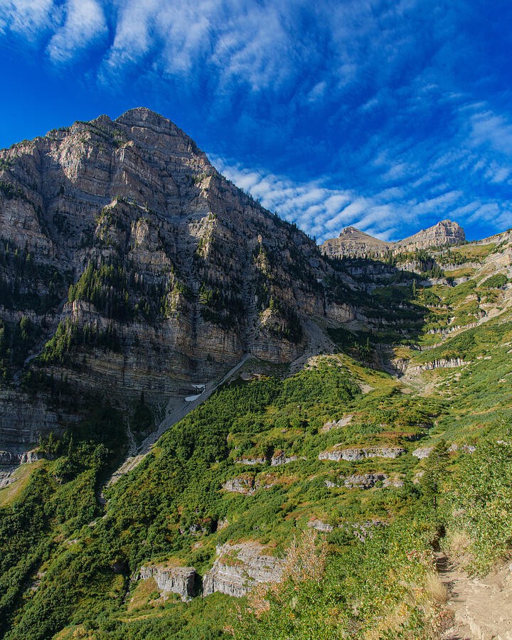 A Trail Beneath the Layered Cliffs