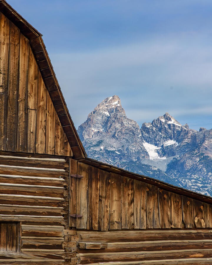 Weathered Wood Against the Mountains