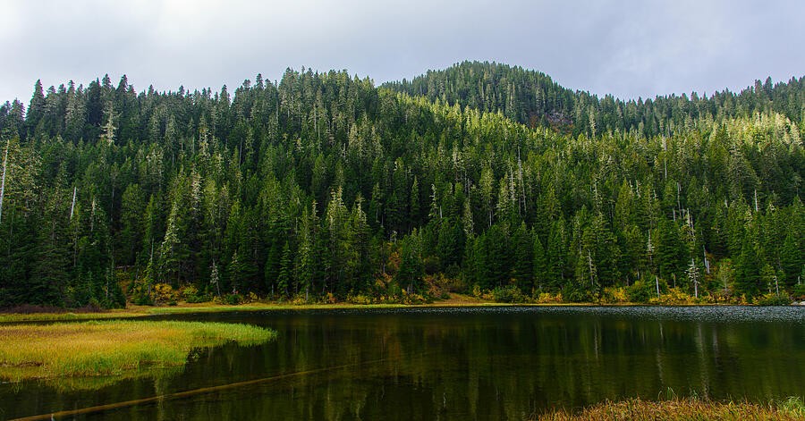 A Still Lake Beneath the Evergreen Hill