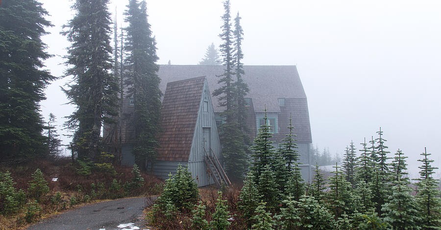 A Steep Roof Among the Misty Pines