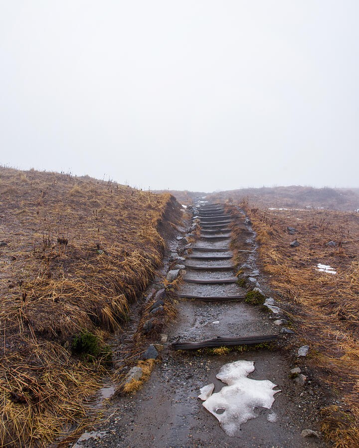 Steps Disappearing into the Pale Fog