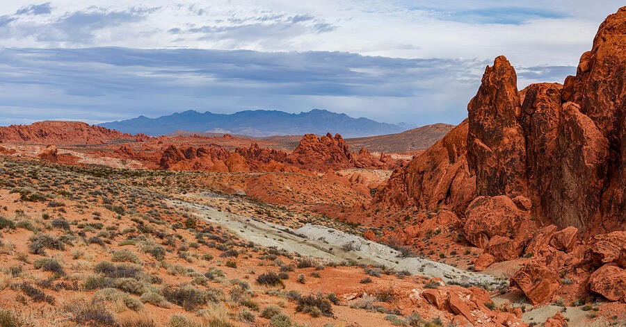 Red Cliffs Beyond the Desert Wash