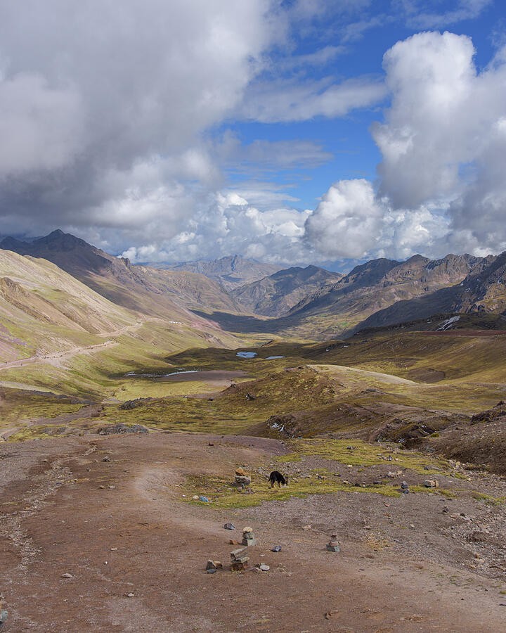 A Broad Valley Beneath the Cloud Shadows
