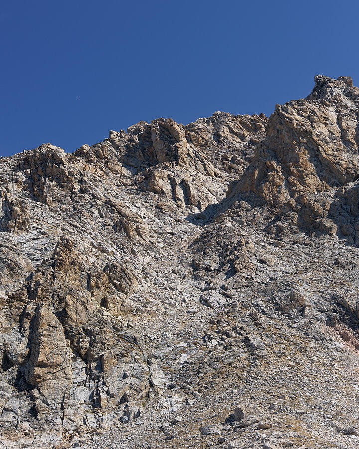 A Jagged Ridge Above the Pale Scree
