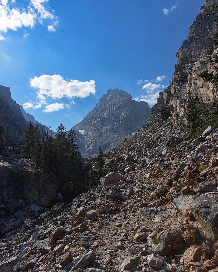A Sunlit Summit Above the Forested Gully
