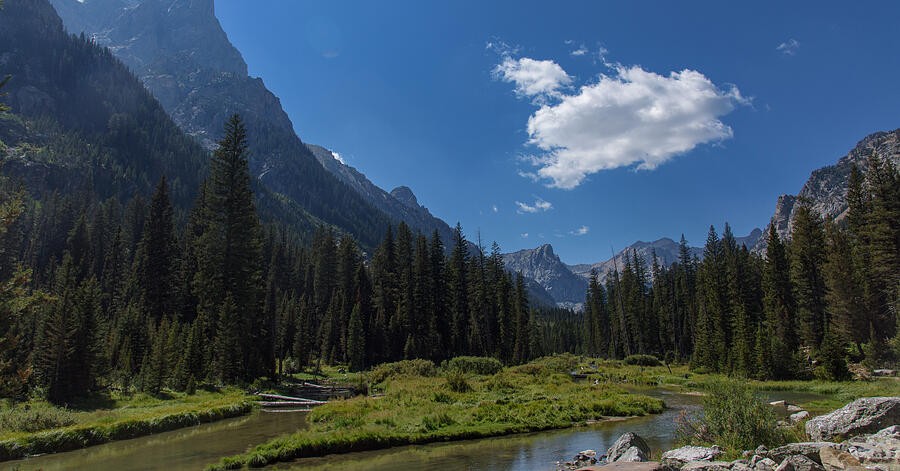 A Quiet Meadow Between Forested Slopes