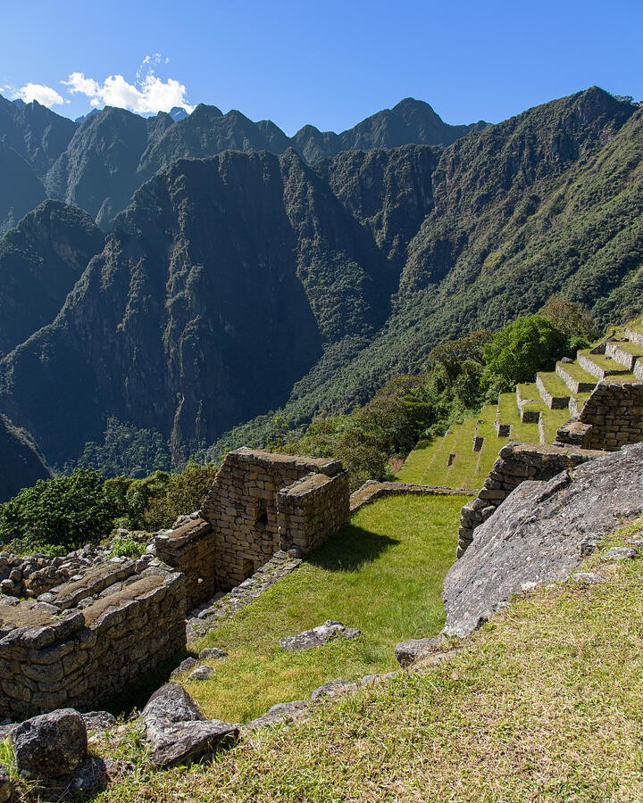 Green Terraces Above the Steep Valley