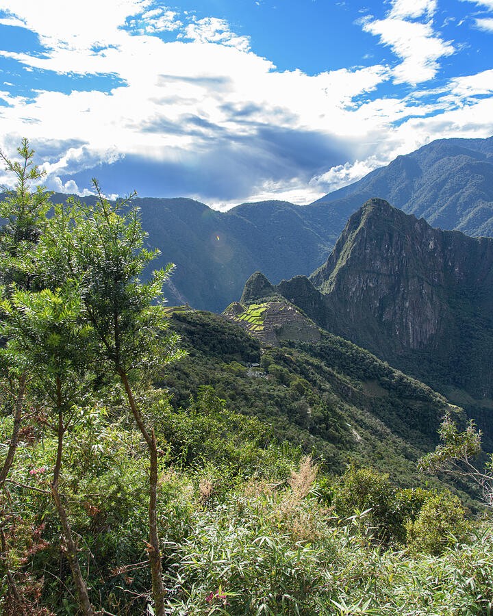 Green Slopes Beneath the Bright Mountain Sky