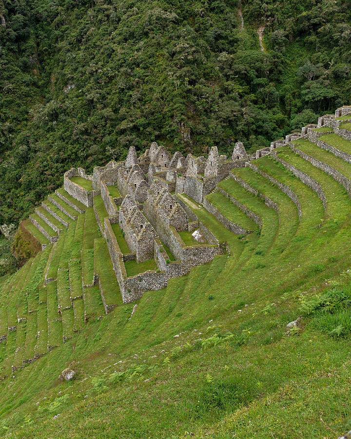 Curving Terraces Across the Green Hillside