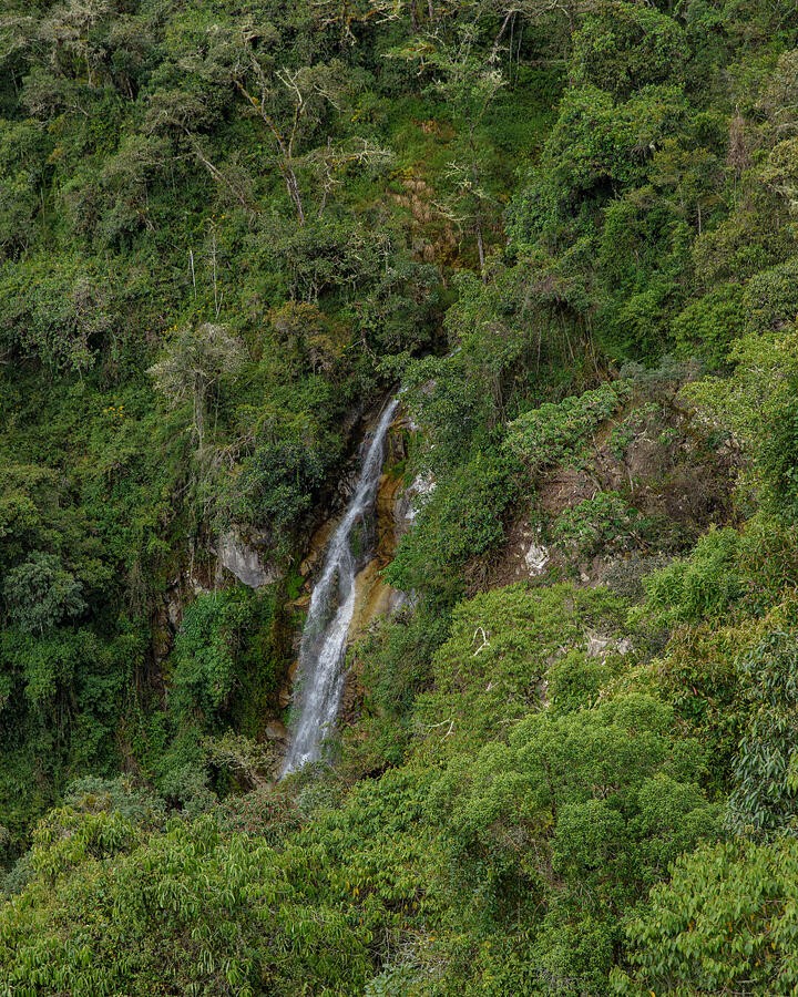 A Slender Waterfall in the Mountain Forest