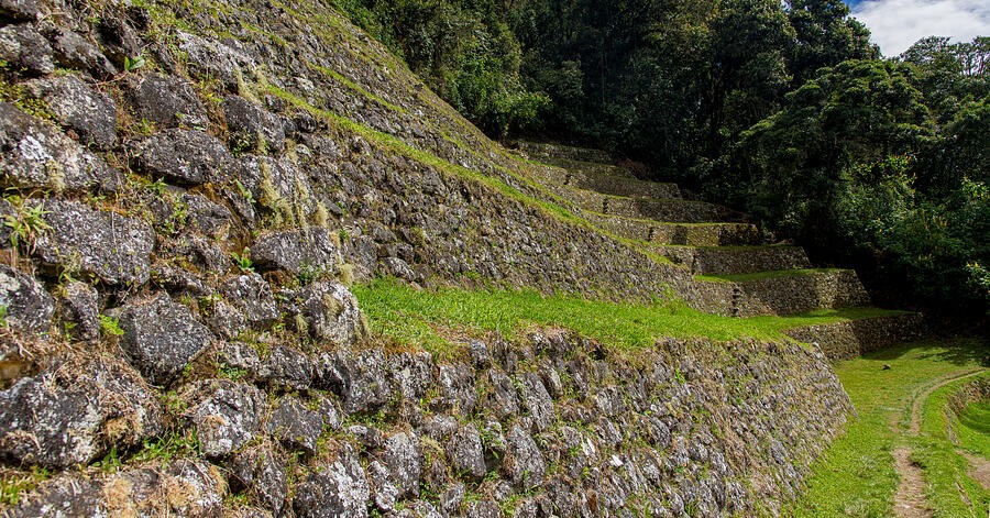 Grass Between the Rough Terrace Walls
