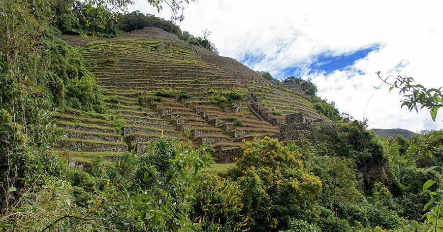 Terraces Beyond the Green Forest Leaves