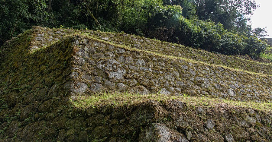 Moss Along the Low Stone Terrace Wall