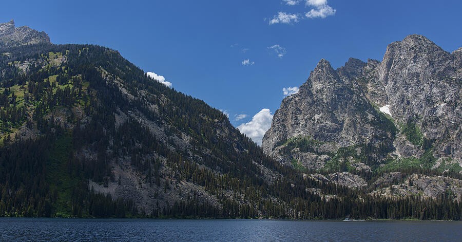 Dark Water Beneath the Evergreen Ridge