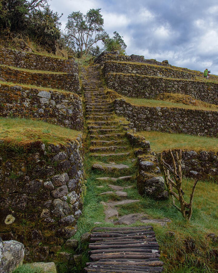 A Stairway Through Moss Covered Terraces