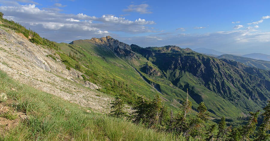 A Green Slope Above the Rugged Mountain Bowl