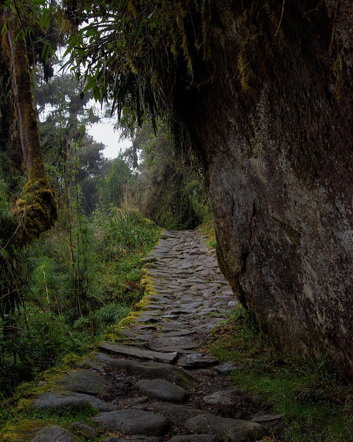 A Narrow Stone Trail Beside the Dark Rock Wall